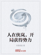 人在侠岚,开局获得势力在线阅读