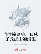 直播撞鬼后,我成了龙虎山通缉犯在线阅读