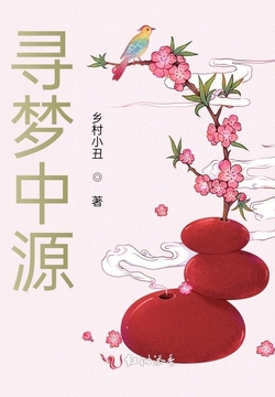 寻梦中源 封面