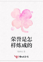 榮譽是怎樣煉成的在線閱讀
