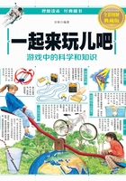 一起来玩儿吧：游戏中的科学和知识在线阅读