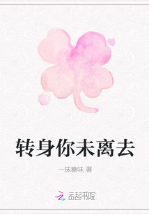 轉身你未離去