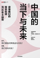 中国的当下与未来：读懂我们的现实处境与30年大趋势