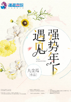 遇見強勢年下在線閱讀
