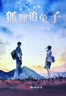 狐貍追兔子