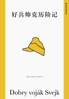 好兵帥克歷險記在線閱讀