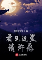 看見流星請許愿在線閱讀