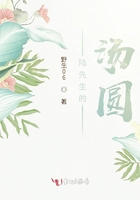 陆先生的汤圆在线阅读