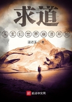求道,从玄幻世界崩溃开始在线阅读