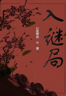 入謎局