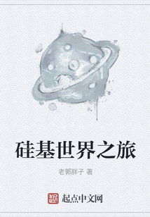 硅基世界之旅