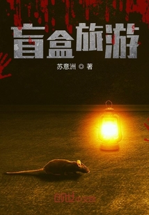 盲盒旅游