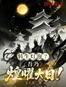 转生灯泡？吾乃煌曜大日！在线阅读