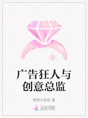 广告狂人与创意总监在线阅读