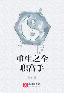 重生之全職高手