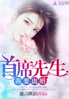 首席先生,我要离婚在线阅读