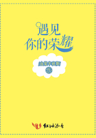 遇見你的榮耀在線閱讀