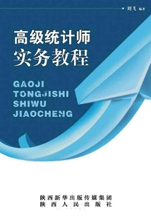 高級統計師實務教程