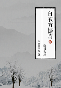 白衣方振眉4:落日大旗