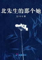 北先生的那個她在線閱讀