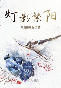 燈影繁陽