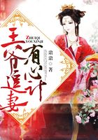 王爷追妻有心计
