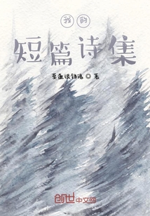 我的短篇詩集