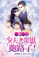 一胎三宝,少夫人带崽跑路了!在线阅读