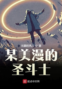 某美漫的圣斗士