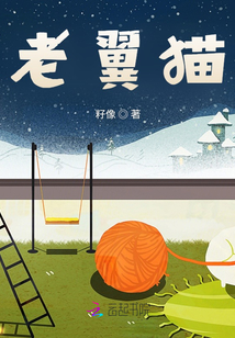 老翼貓