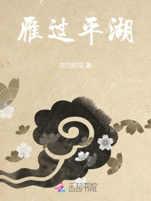 雁過平湖