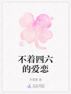 不着四六的爱恋在线阅读