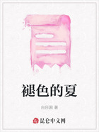 褪色的夏在线阅读