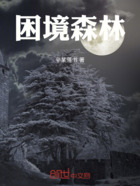 困境森林在线阅读