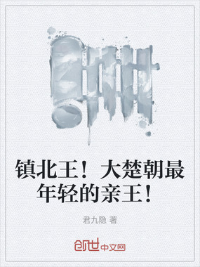 镇北王！大楚朝最年轻的亲王！在线阅读
