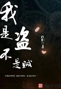 我是盜不是賊