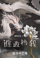谁敢挡我在线阅读
