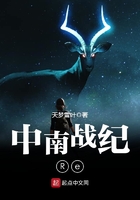 中南战纪Re