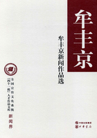 牟丰京新闻作品选