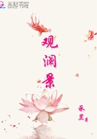 觀瀾景在線閱讀