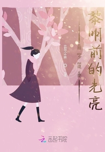 顾少追妻黎明前的光亮