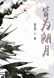皆為朗月