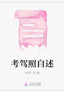 考駕照自述
