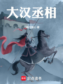 大漢丞相