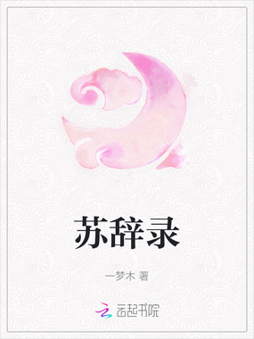 苏辞录在线阅读