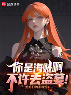 你是海贼啊,不许去盗墓!在线阅读