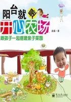阳台就是开心农场在线阅读