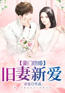 豪门隐婚:旧妻新爱