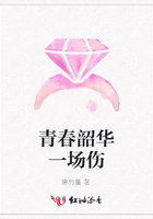 青春韶華一場傷在線閱讀