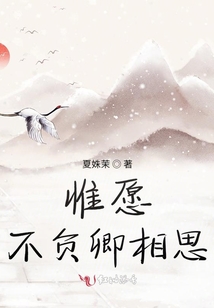 惟愿不負卿相思